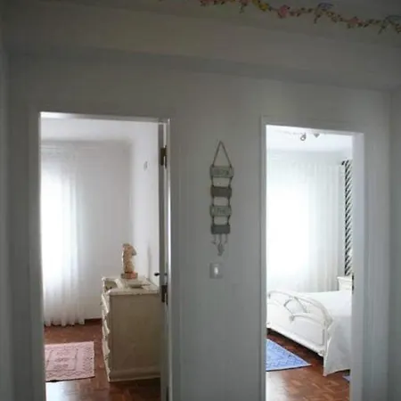 Flipflops Starfish 纳扎雷